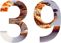 home_guesthouse_house_pic2